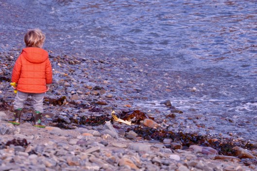 Boy in the Orange Jacket