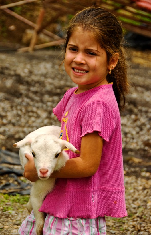 Nayeri had a Little Goat