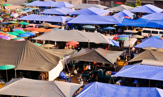 Tuesday Morning Market