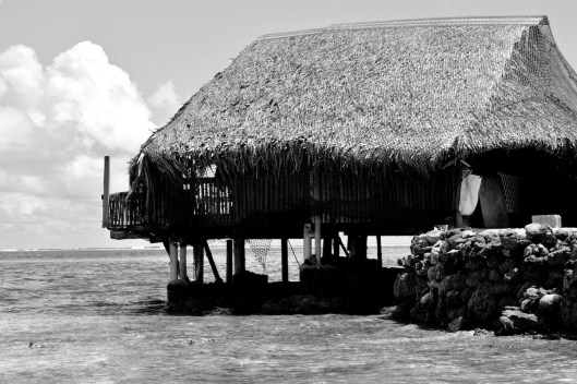 In the Middle of No Where