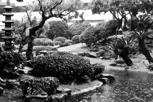 japanese garden