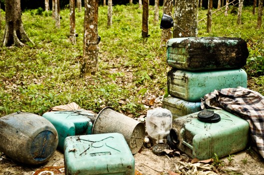 Unfortunate Remnants