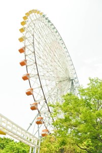 ferris wheel