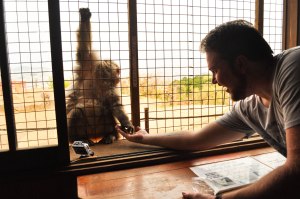 spencer feeds a monkey