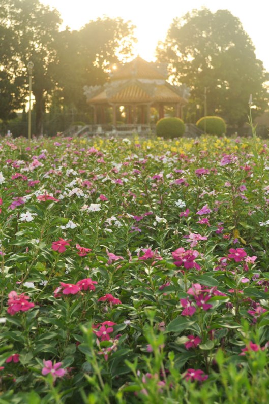 Hoàng thành (Imperial City), Hue, Vietnam.